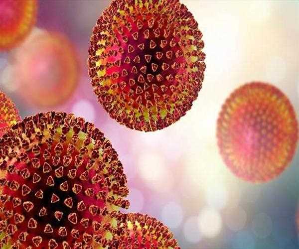 What is Giloy and its Health Benefits
