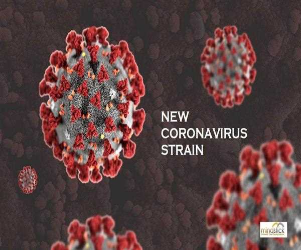 NEW CORONAVIRUS STRAIN - ALL ANSWERS TO YOUR QUESTIONS!