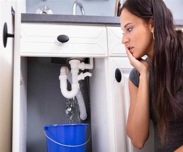 Common Kitchen Sink Plumbing Problems And Ways To Solve Them