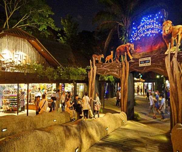 Everything you need to know about singapore zoo and night safari