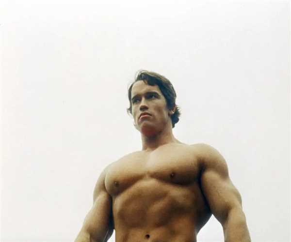 Success story of a Bodybuilder hollywood actor Arnold Schwarzenneger