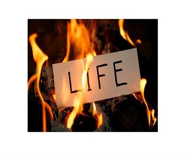 Life from the burnt seed