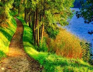 Why is nature important for our future