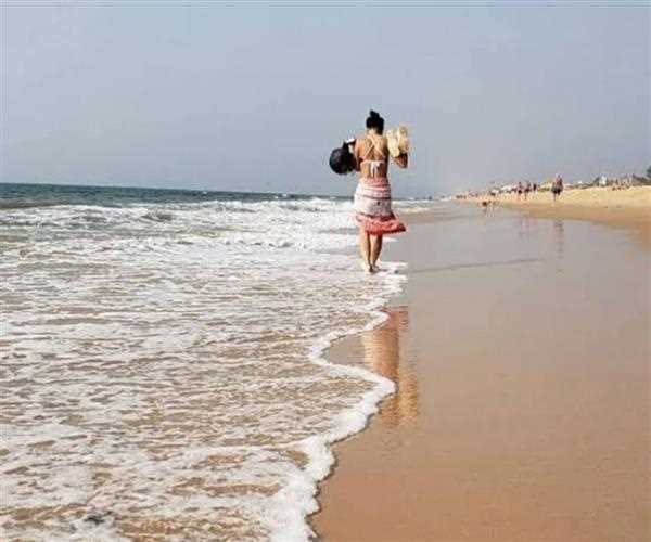 Explore these beach sites in India for beach lovers