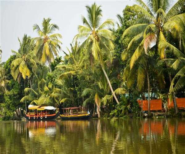 Explore these beach sites in India for beach lovers