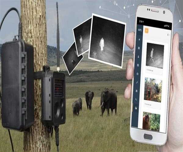 Wildlife conservation using AI technology worldwide