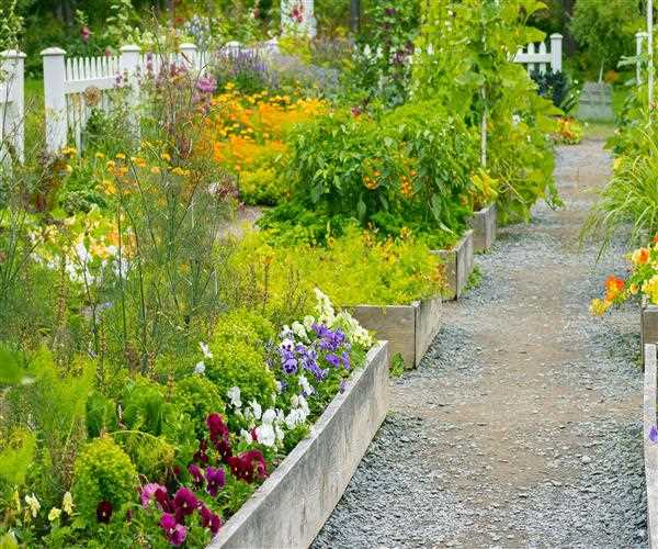 10 Best tricks to use in your home gardening