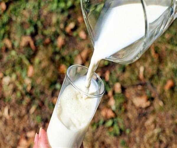 The benefits of Cow Milk for Heart Patients