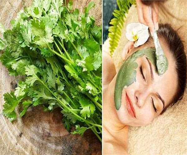Health Benefits of Coriander Seeds