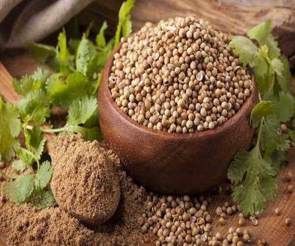 Health Benefits of Coriander Seeds