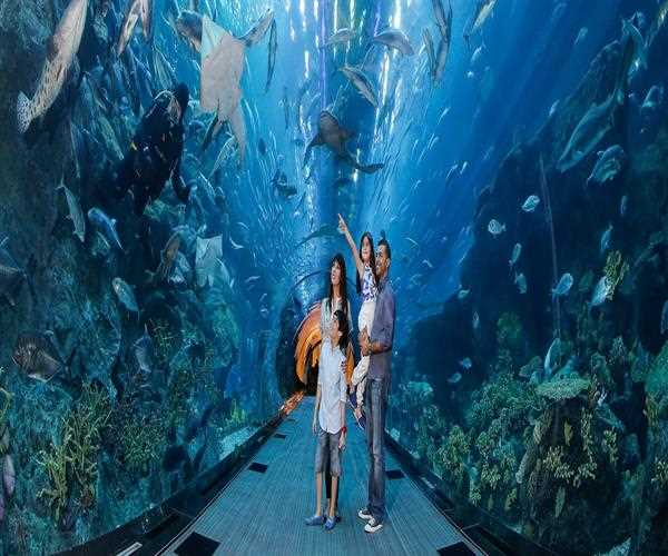 A Journey into the Deep: Dubai’s Underwater Wonderland