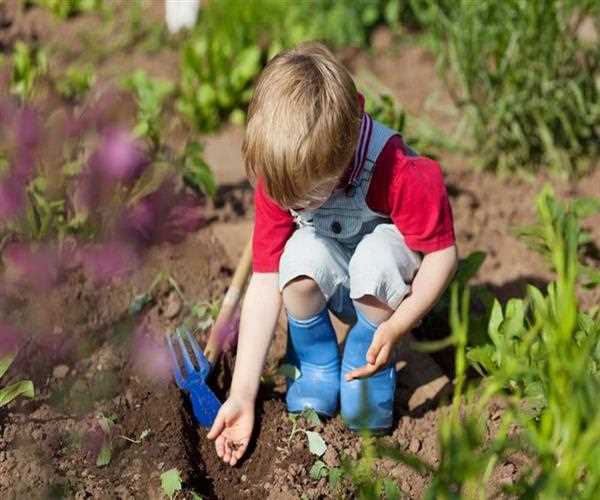 How Does The Environment Influence A Child's Growth