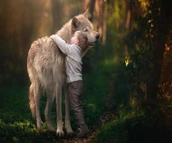 Animals are more loyal than humans do you agree?