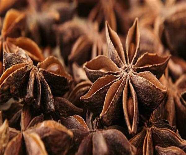 Health Benefits of Star Anise