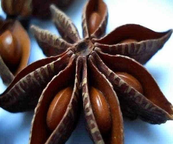 Health Benefits of Star Anise