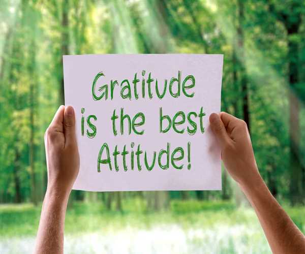 The power of gratitude- how to cultivate a thankful heart