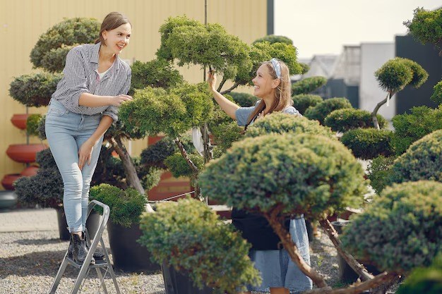Garden Landscaping vs Garden Maintenance: What's the Difference?