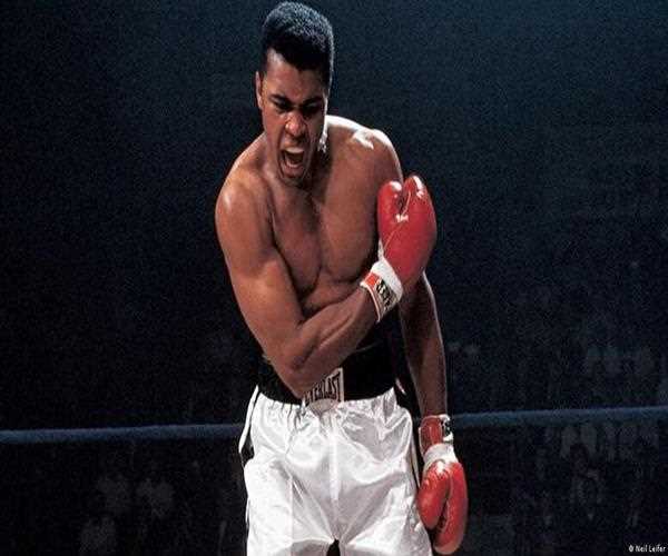 Top 10 world champions in these sports