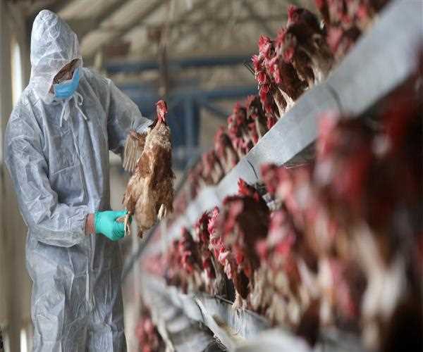 China reports death of two women from bird flu