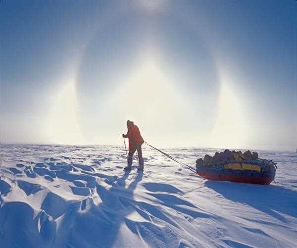 How to survive in tough cold reign
