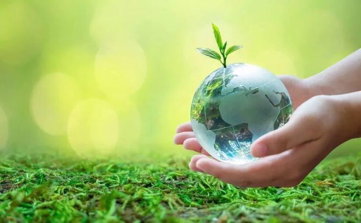 Can Planting Trees Reverse the Effects of Global Warming?
