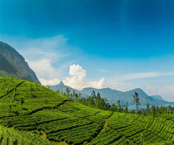 Munnar