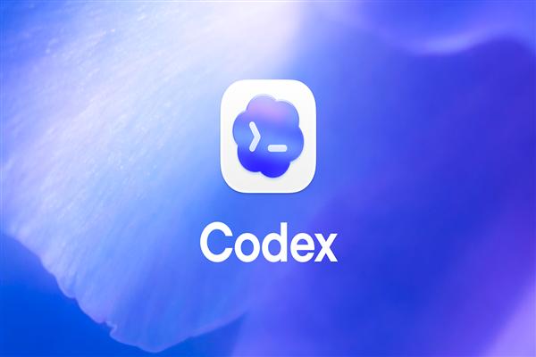 What is Codex: A complete guide