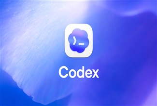 What is Codex: A complete guide