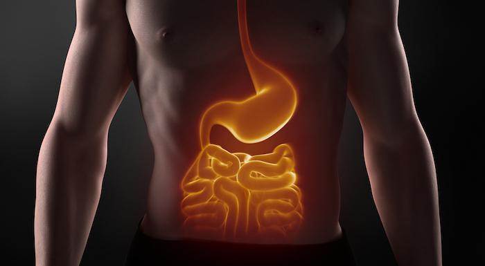 What is Hing Asafoetida and its Benefits