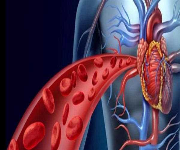 What are the health benefits of sweat fennel saunf