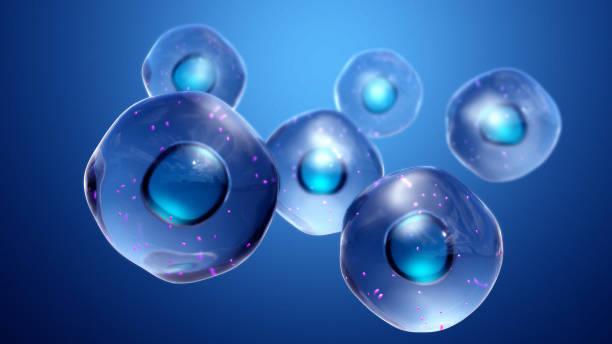 Artificial intelligence examines cell movement under a microscope