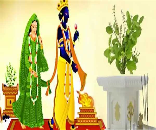 Explore the significance of Tulsi Vivah in Hindu Ideology