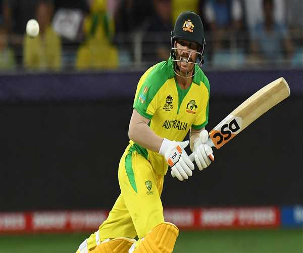 Story of an Australian Cricket Veteran David Warner