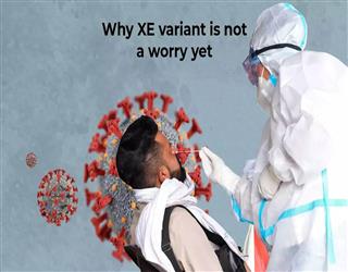 Nothing to Panic about XE Variant of Covid, Says NTAGI Chief of India