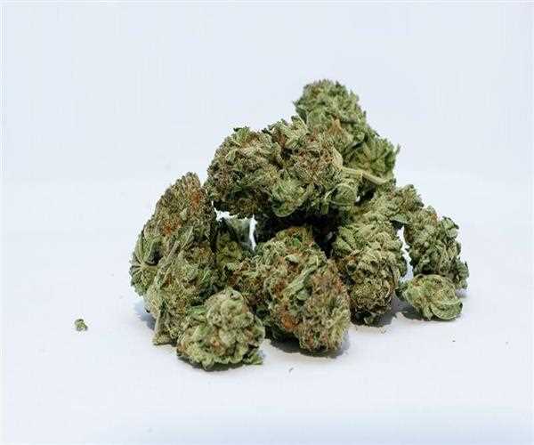 Does Marijuana Cause lung Cancer?