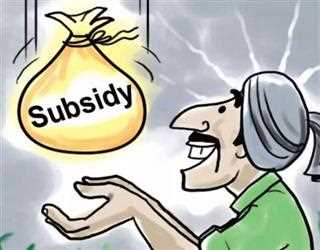 Types Of Subsidy We Need To Know