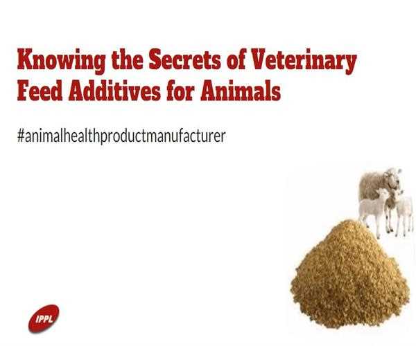 Knowing the Secrets of Veterinary Feed Additives for Animals