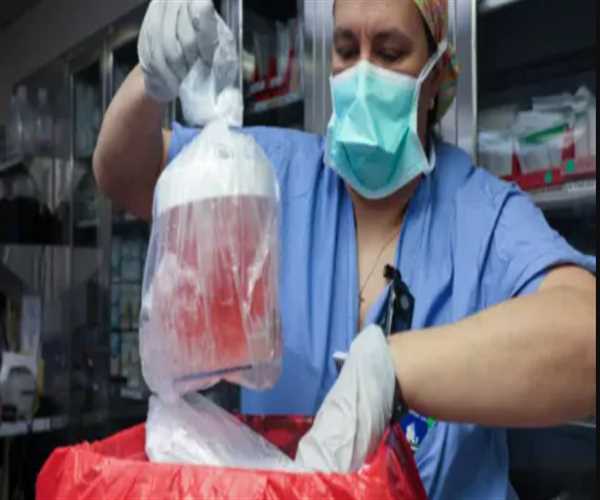 First living patient having pig kidney transplant; Prediction of healthcare