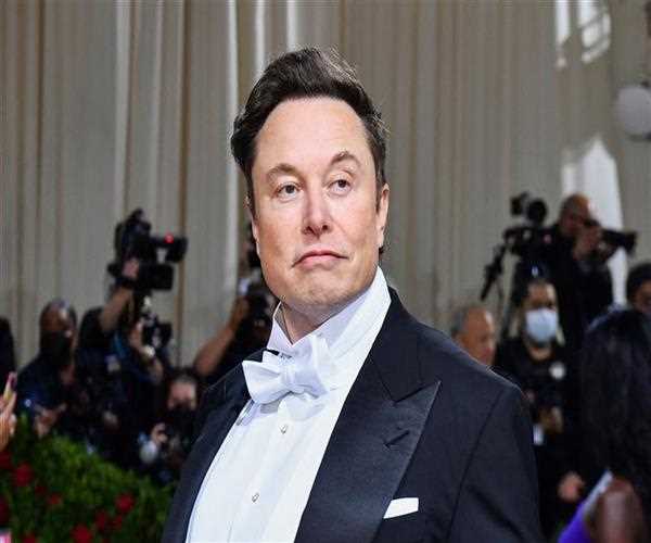 Why does Elon Musk like Chinese, not Indians