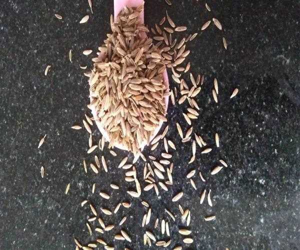 What are the benefits of cumin