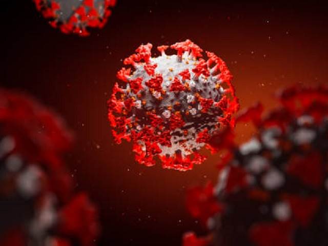 New Coronavirus NeoCov found by Wuhan Scientists