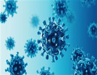 New Coronavirus NeoCoV found by Wuhan Scientists