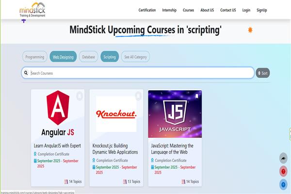 Different flexibility of courses in the MindStick Training platform 