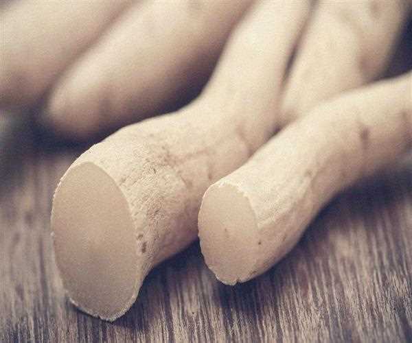 What is Shatavari and its health benefits