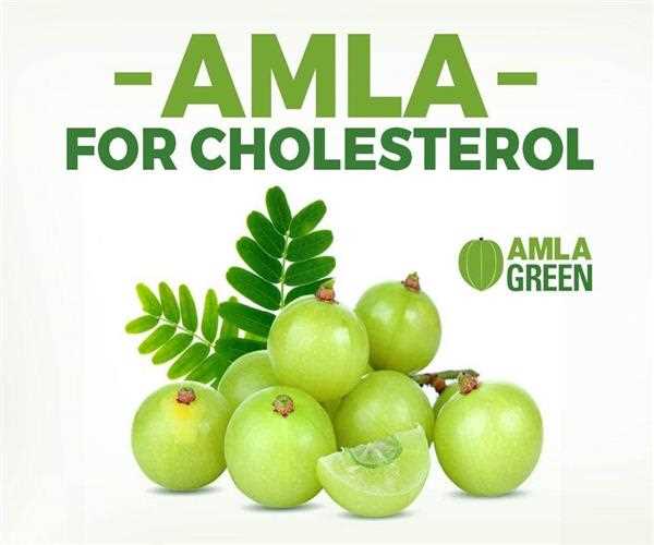 Amla Emblica Officianalis Gatertn and its health benefits