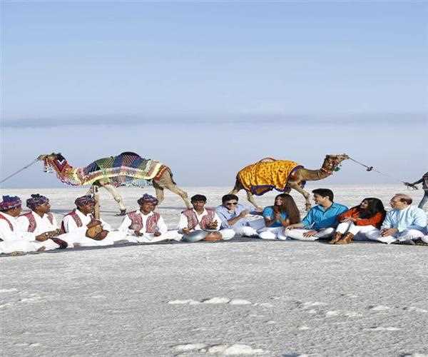 Why You Should Visit the Rann of Kutch during the Rann Utsav