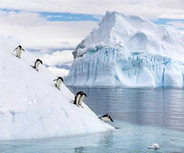 Threat of Antarctic Expansion over the lives of humans