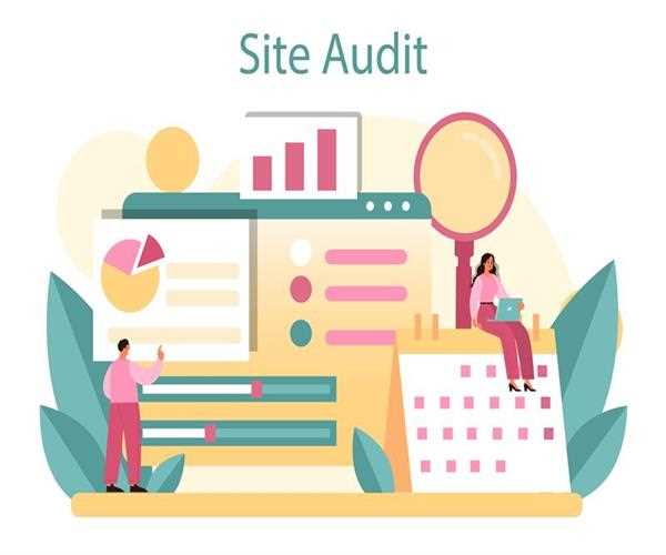 10 Reasons Why You Need an SEO Audit