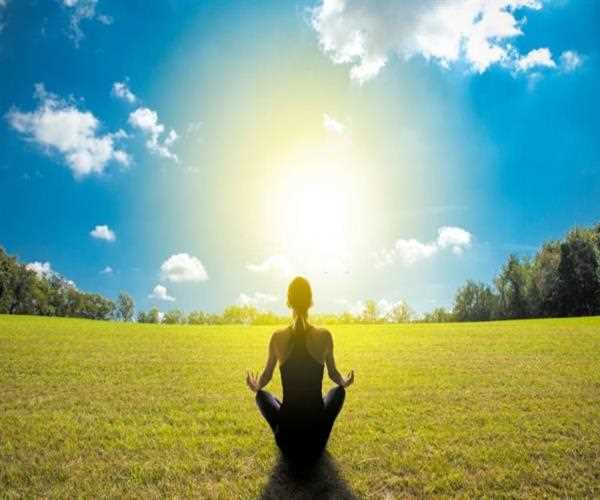Yogi philosophy and environmental consciousness- Explore now