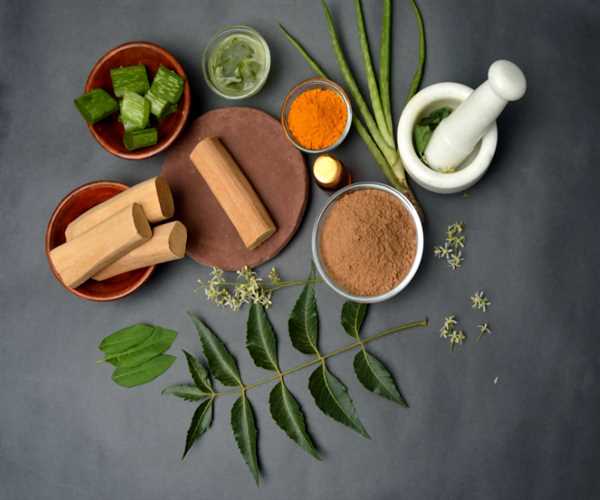 How Ayurveda and Vedic Science Promote Holistic Living